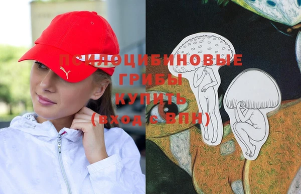 метадон Богородск